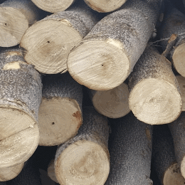 Round Logs